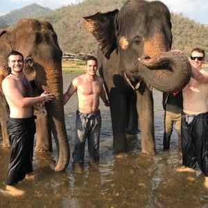 Meet your Posher, Bo